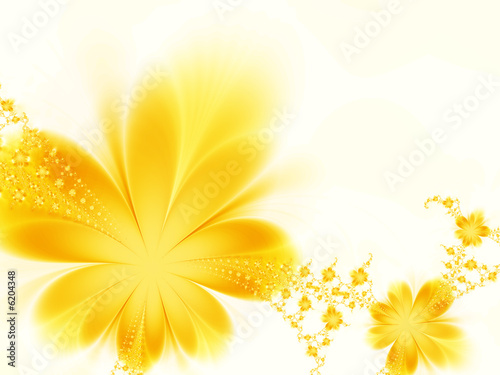 Bouquet of flowers
