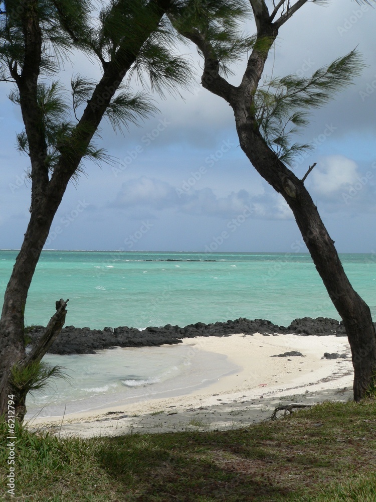 Ile sous le vent