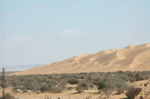 les dunes rouges de Tenouchad