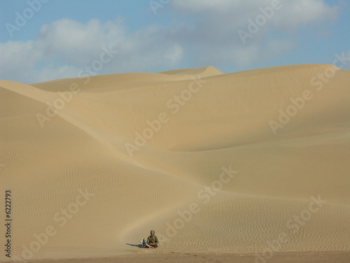 un homme et son chien dans le d  sert