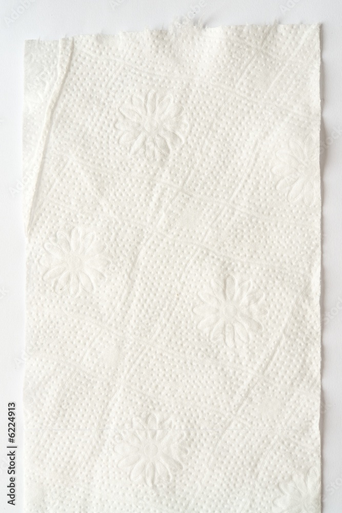 Obraz premium Texture. Beautiful pattern on a toilet paper.