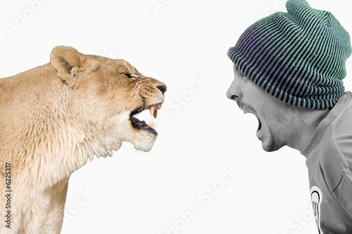 lionne vs humain