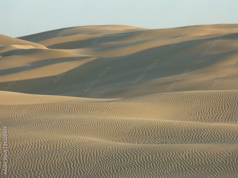 Fototapeta premium paysage de dunes
