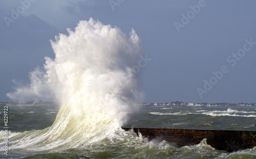 Quadro su tela vague