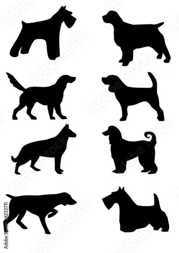 raçãs de cães