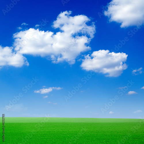 spring field covered by a grass and the beautiful blue sky.