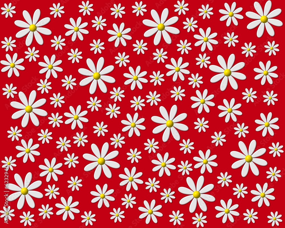 margeriten hintergrund rot margeriten hintergrund rot