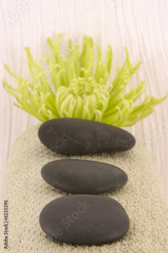 Massage Stones, Green Aster, and Green Towel