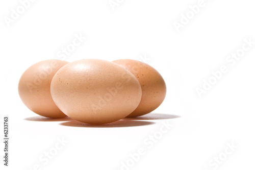 eggs