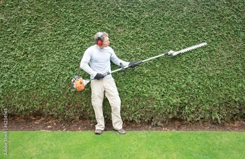 hedge trimming