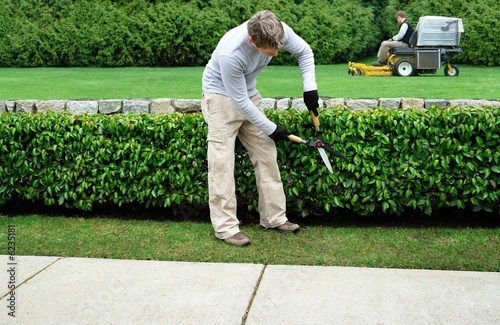landscaping company