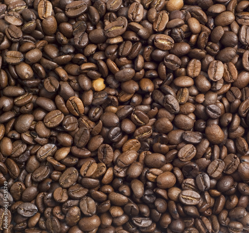 close-up view of coffee beans