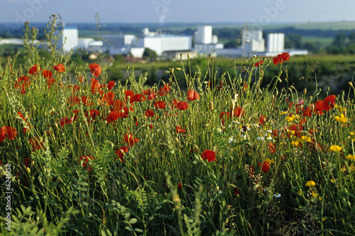 USINE ET CAMPAGNE photo