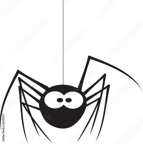 Spider #6249557