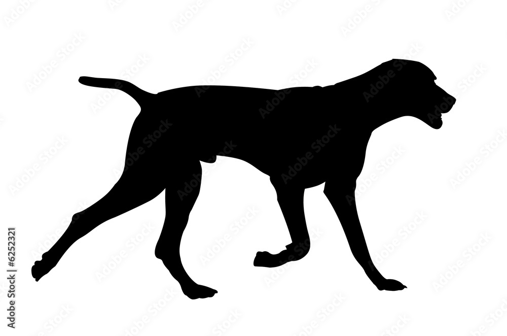 galloping dog silhouette