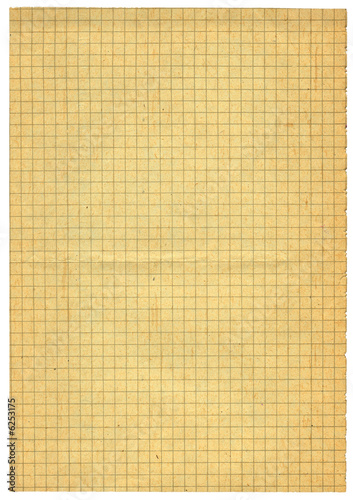 XXL size piece of old squared paper isolated on white