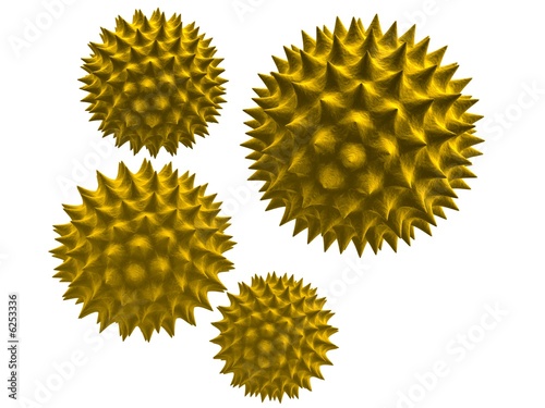 3d pollen photo