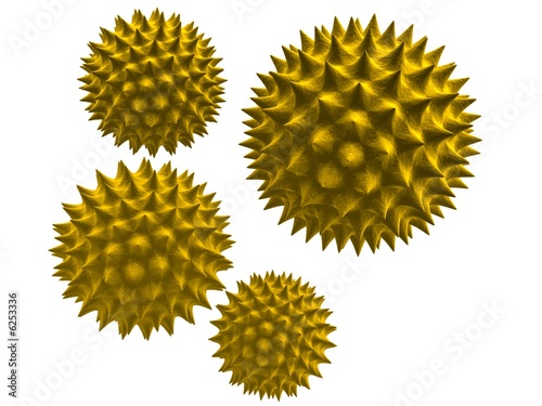 Fotografía 3d pollen