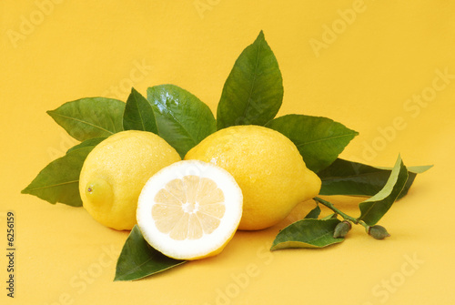 limoni sul giallo