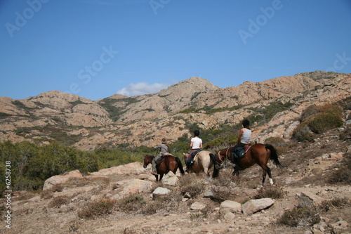 Chevaux en Corse photo