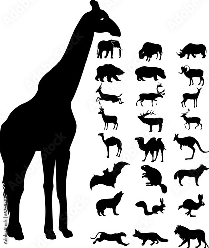 wild animals icon and silhouette vector file