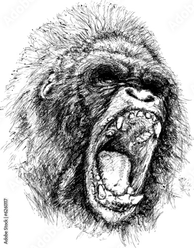 Fototapeta Naklejka Na Ścianę i Meble -  Raging ape illustration