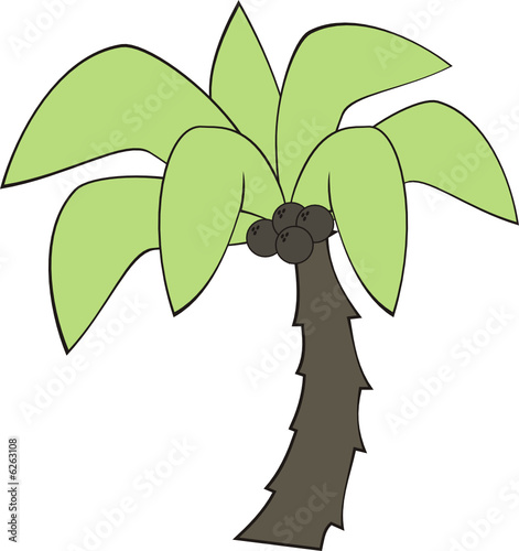 palmera infantil