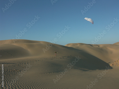 cerf-volant dans les dunes