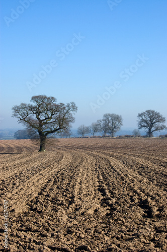 Rural English winter landscape