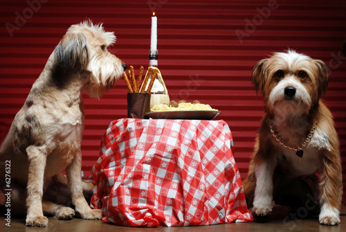 Two dogs having candlelight dinner