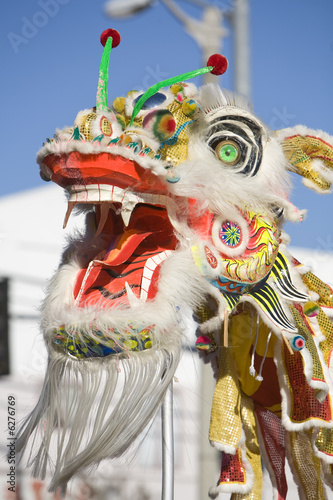 Chinese New Year Parade Dragon 12
