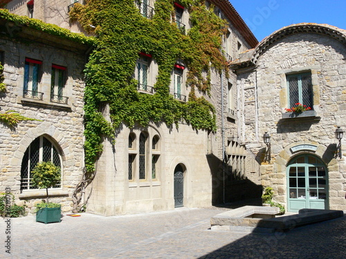 Fototapeta Naklejka Na Ścianę i Meble -  Village de France, Carcassonne