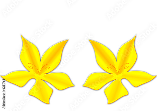 Fiori gialli