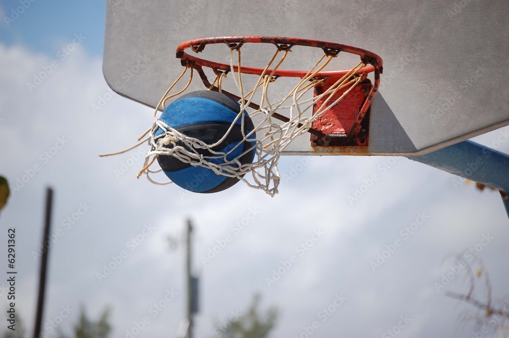 Naklejka premium Nothin' But Net