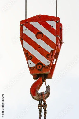 Crane hook
