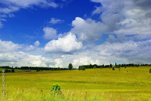 Panorama photo of meadow.