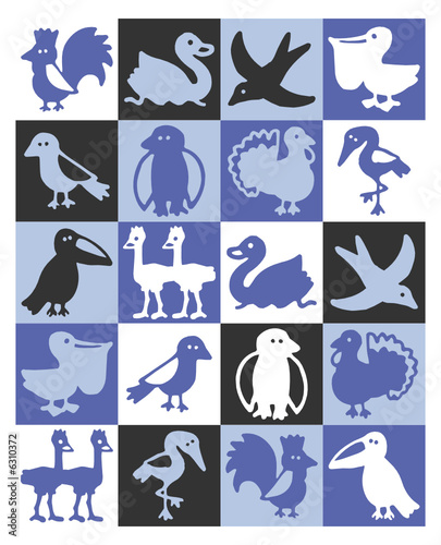 oiseaux