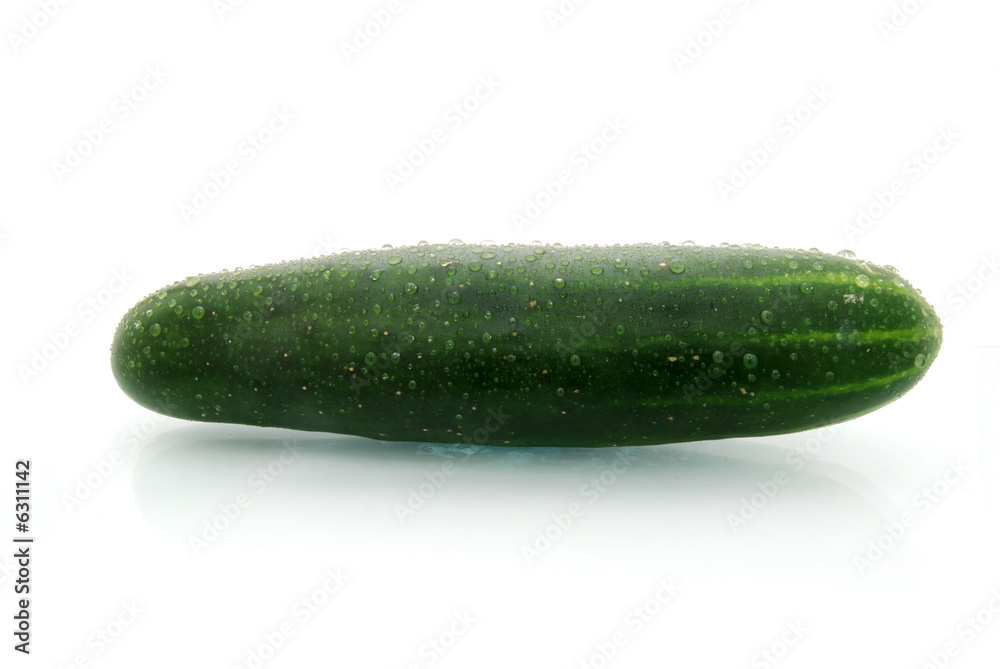 fresh cuc fresh cuc