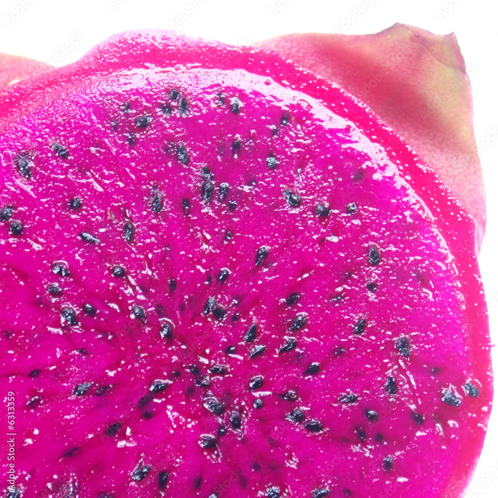 pitaya ou dame de la nuit Stock Photo Adobe Stock