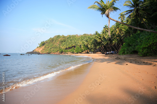 Typical beach in Goa India.