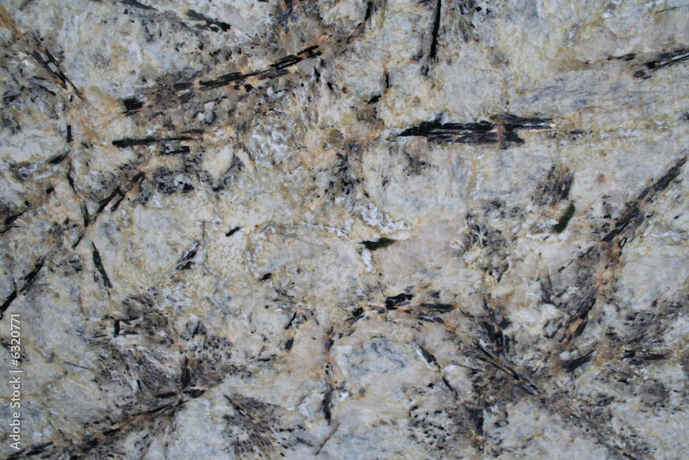 Naklejka premium Artic Cream