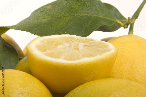 Les Agrumes : citron photo