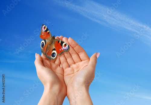 mani con la farfalla photo
