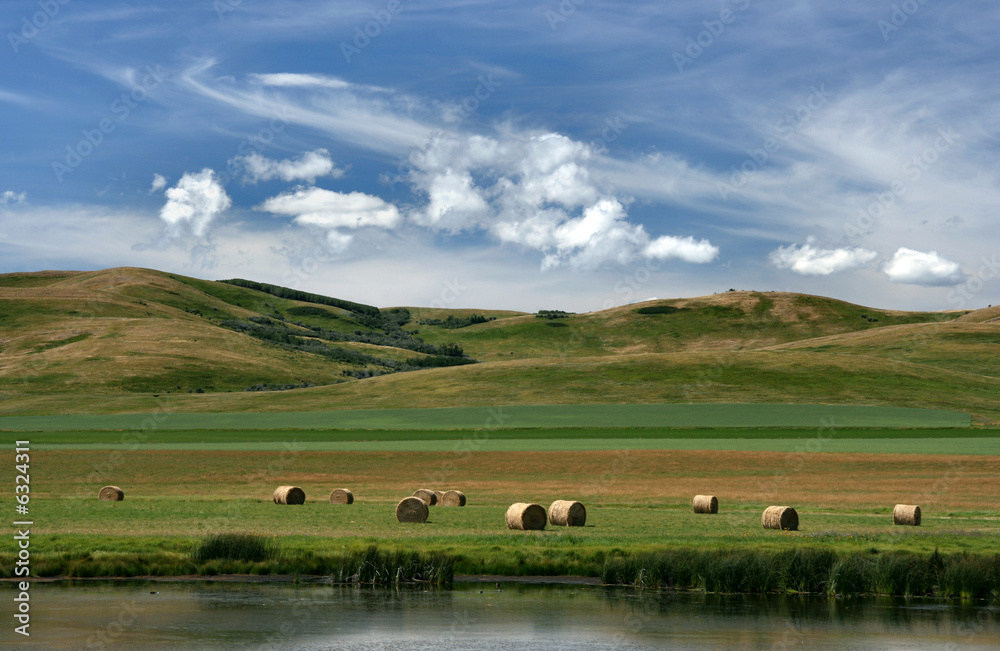 Prairie landscape of Canada. Pastures and meadows of Alberta.