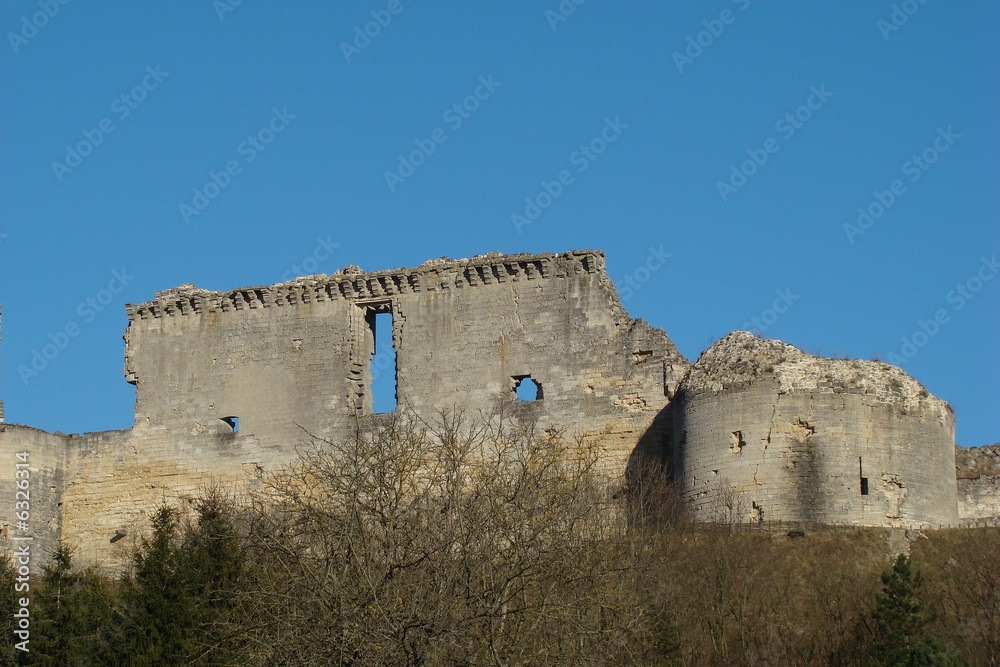Chateau de Coucy-le-Chateau,Aisne,Picardie