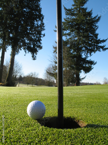 on the green