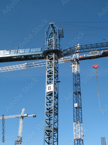 cranes ligned up photo