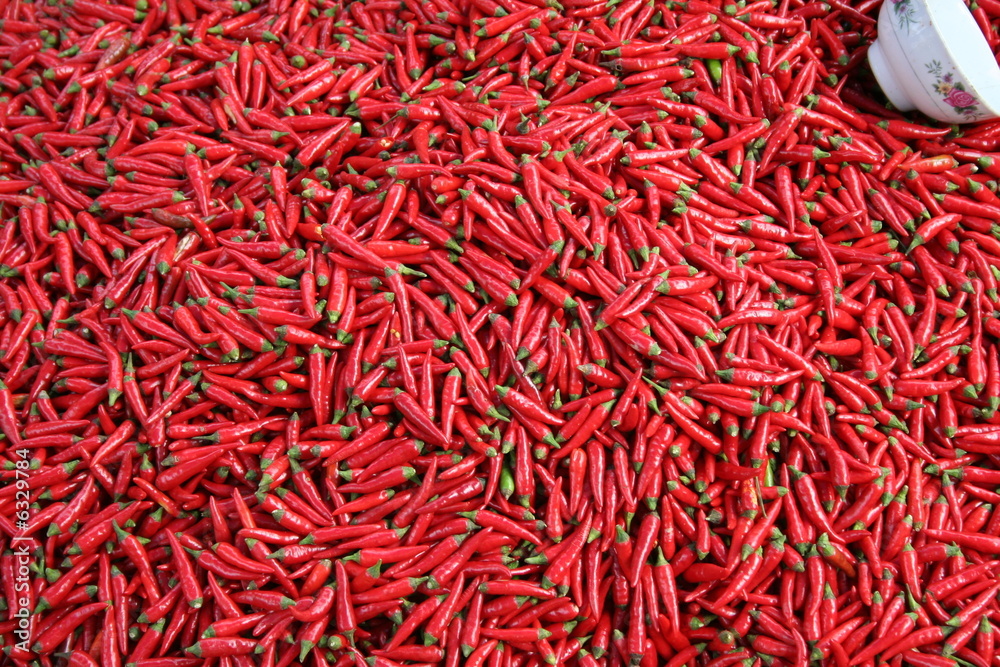 Fototapeta premium Piments au Vietnam