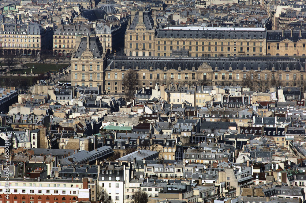 France, Paris: nice aerial city view with the Louvre museum