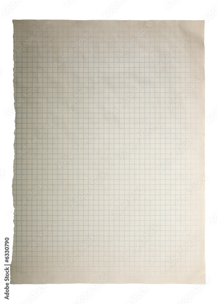 Obraz premium Torn squared sheet of paper